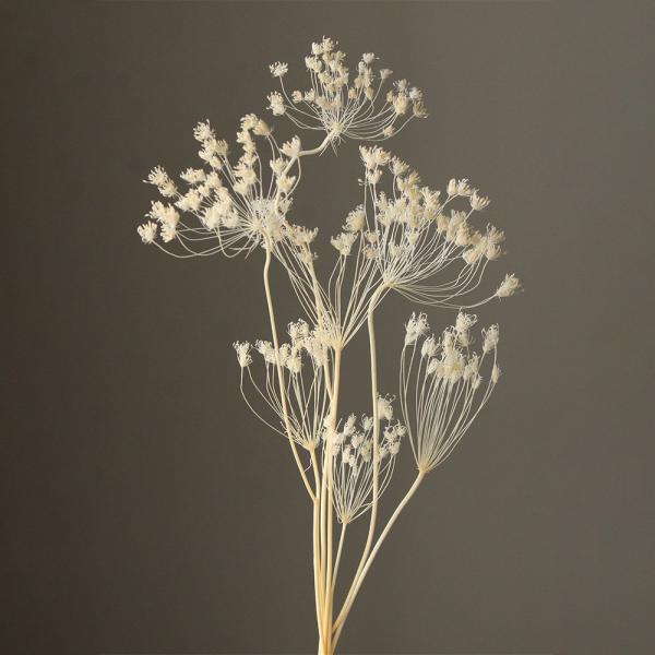 【商品仕様】全長約20〜50cm1束6輪入り【お伝えしたいこと】　※プリザーブドフラワーとは※生花に柔らかい質感を保つよう特殊加工を施したものです。プリザーブドフラワーは染料が染み出す場合があります。ご使用時も色移りにご注意ください。自然素...