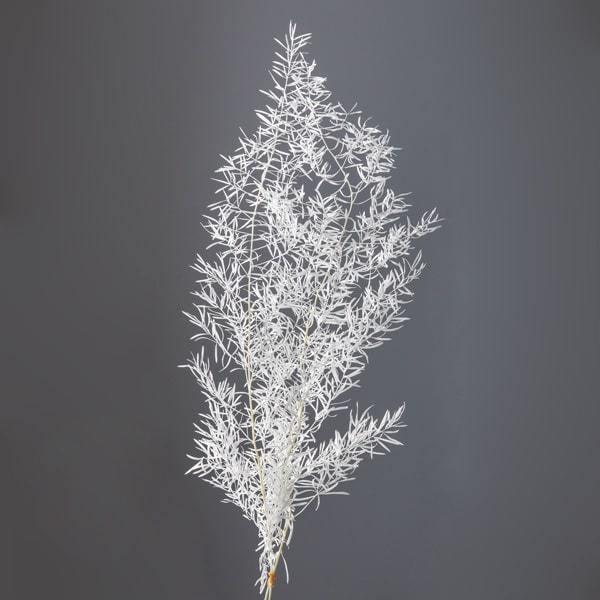 【商品サイズ】全長約40~50cm1束約2本※高温多湿・直射日光は色あせの原因になりますのでなるべくお避け下さい。温度が高い場所では染料が表面や切り口から漏れる恐れがあります。衣服を汚す恐れがありますので十分ご注意ください。※防虫加工を施し...