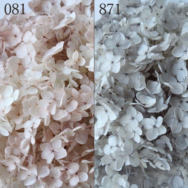 プリザーブドフラワー 花材 とりよせ品 大地農園 ソフトアナベル スフレ アジサイ あじさい 紫陽花 ハーバリウム プリザーブドローズ プリ 花 Och 造花ドライフラワー専門問屋花びし 通販 Yahoo ショッピング