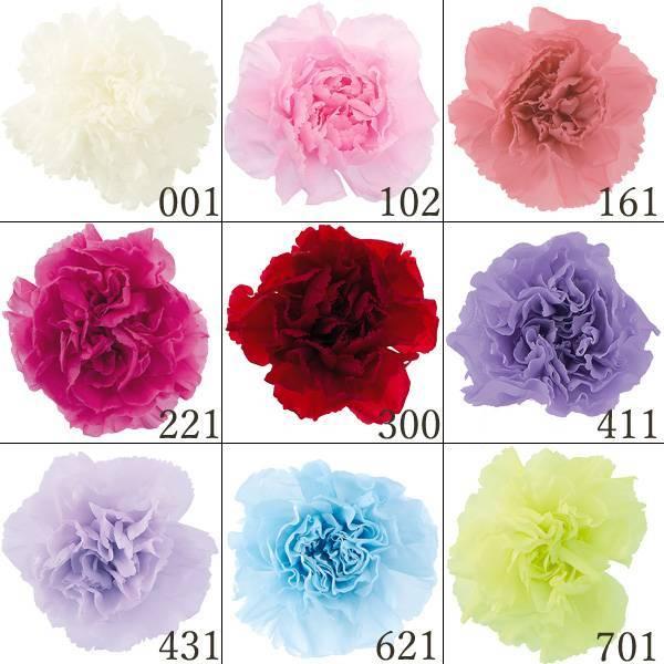 プリザーブドフラワー 花材 とりよせ品 ミニカーネーション(1箱9 プリザーブドフラワー 花材 とりよせ品 ミニカーネーション(1箱9