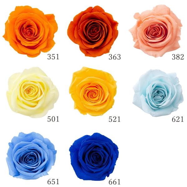 【商品仕様】1箱(9輪)花径:直径約3.2~4cm花丈:約2~2.8cm【お伝えしたいこと】 ※プリザーブドフラワーとは※生花に柔らかい質感を保つよう特殊加工を施したものです。プリザーブドフラワーは染料が染み出す場合があります。ご使用時も色...