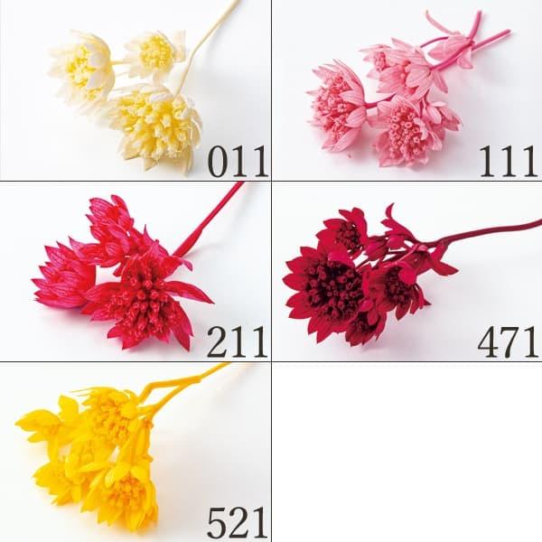 プリザーブドフラワー 花材 とりよせ品 大地農園 アストランティア 花材 素材 材料 パーツ スワッグ ブーケ ドライフラワー花束 花束 リース Och 造花ドライフラワー専門問屋花びし 通販 Yahoo ショッピング