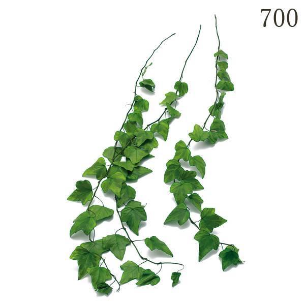 プリザーブドフラワー とりよせ品 大地農園 アイビー ホワイトワンダー グリーン Och 0 造花ドライフラワー専門問屋花びし 通販 Yahoo ショッピング