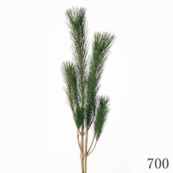 プリザーブドフラワー とりよせ品 大地農園 枝若松 小 グリーン Och Pv1 造花ドライフラワー専門問屋花びし 通販 Yahoo ショッピング