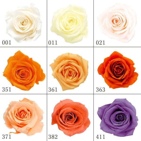 プリザーブドフラワー 花材》◇とりよせ品◇大地農園 ローズ・いずみ(1箱9輪入り) ローズ ハーバリウム プリザーブドローズ プリ プリザーブド :och-03480-pv1:造花ドライフラワー専門問屋花びし 通販 大地農園 ローズいずみ アソート9輪