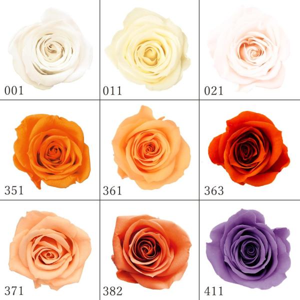 花径:約3~3.5cmφ・花丈:約2.5~3cm( allp5 )(10_dras)(15_asoh)価格・サイズともにとっても使いやすいローズです。小ぶりでもきれいに開いた花形が特徴です。( hcprs ) ドライフラワー 花材 素材 パ...