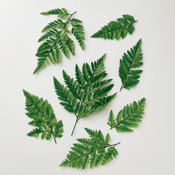 【商品仕様】全長12〜20cm1袋約10本入り【お伝えしたいこと】　※プリザーブドフラワーとは※生花に柔らかい質感を保つよう特殊加工を施したものです。プリザーブドフラワーは染料が染み出す場合があります。ご使用時も色移りにご注意ください。自然...