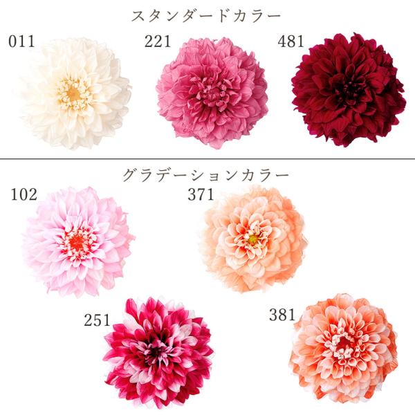 プリザーブドフラワー 花材 とりよせ品 ダリア ミディー (3輪入) 花材 素材 材料 パーツ ドライフラワー プリザーブド ダリア デコラティブ咲き 大地農園