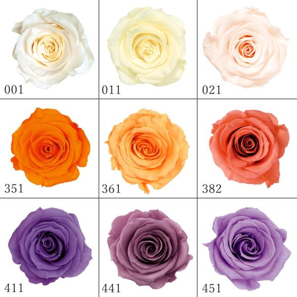 プリザーブドフラワー 花材》◇とりよせ品◇大地農園 ローズ・かのん・M(1箱9輪入り) ローズ ハーバリウム プリザーブドローズ プリ ナチュラル :och-05202-pv1:造花ドライフラワー専門問屋花びし - 通販 - Yahoo!ショッピング プリザーブドフラワー 花材》◇とりよせ品◇大地農園 ローズ・かのん・M(1箱9輪入り) ローズ ハーバリウム プリザーブドローズ プリ ナチュラル :och-05202-pv1:造花ドライフラワー専門問屋花びし - 通販 - Yahoo!ショッピング
