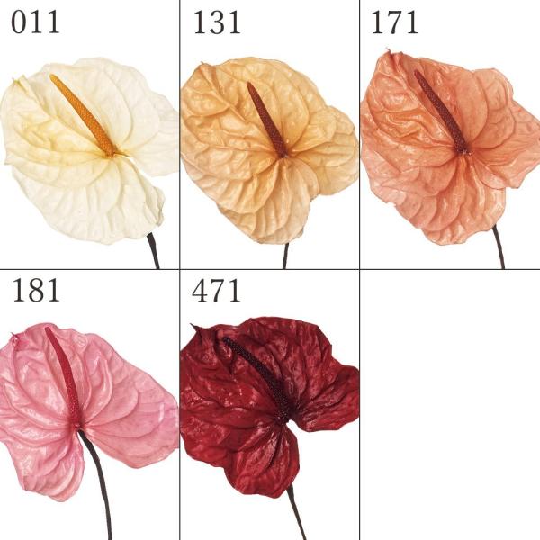 ドライフラワー*ハーバリウム風*パーツ*ドーム型 楽天市場】ドームキャッチボールペン ガラスドーム スノードーム