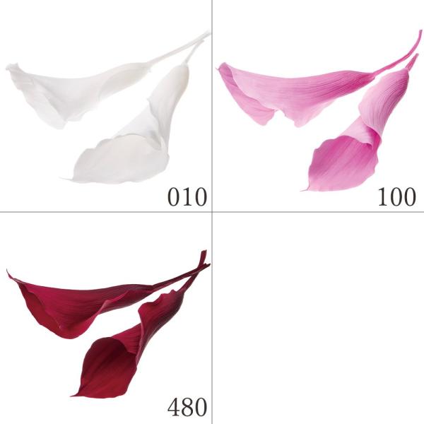 【商品仕様】約10〜13cm1箱3輪入り( allp5 )(10_dras)( 15_asoh )( 2025AW )凛とした花姿が特徴的な仏花アレンジからブライダルブーケまで幅広くおすすめのカラーのプリザです。( hcprs )( prf...