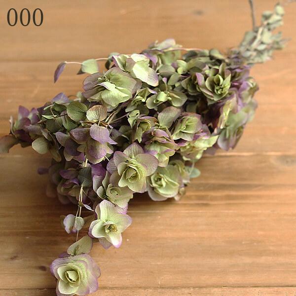 ドライフラワー とりよせ品 大地農園 オレガノ ケントビューティー N Och 造花ドライフラワー専門問屋花びし 通販 Yahoo ショッピング