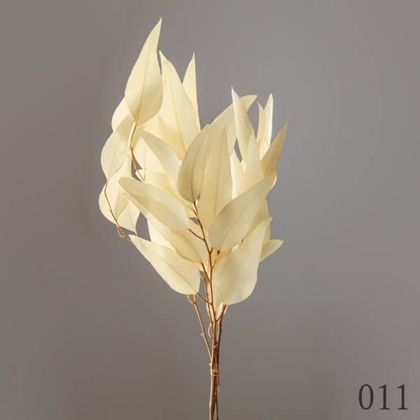 ドライフラワー とりよせ品 大地農園 ウィローユーカリ Och Pv1 造花ドライフラワー専門問屋花びし 通販 Yahoo ショッピング