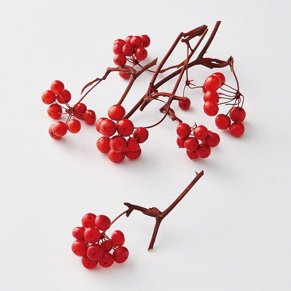 ドライフラワー 花材 とりよせ品 サンキライの実・チップ 素材 材料