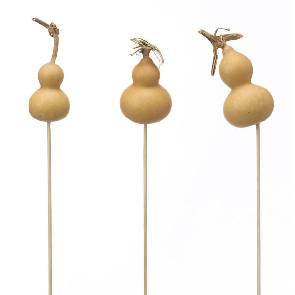 【商品仕様】実全長約4-7cmピック全長約35cm1束3本入り( 2025AW )( allp5 )( 15_asoh )( nwyrdry ) 花材 素材 材料 パーツ ドライフラワー 正月 縁起物 迎春飾り 正月飾り お正月飾り 迎春ア...