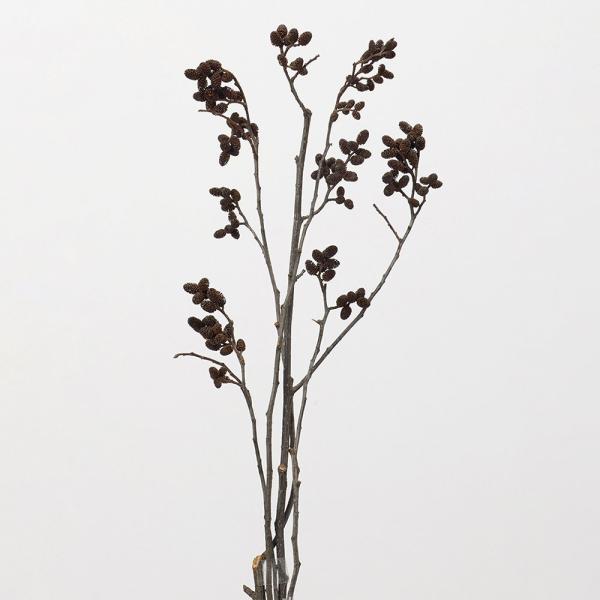 【商品仕様】全長約45〜50cm1束約30〜40g【お伝えしたいこと】※木の実は自然素材の性質上、割れや欠け・潰れが含まれる場合があります。( 2025AW )( allp5 )( 15_asoh ) 花材 素材 材料 パーツ デコ リース...