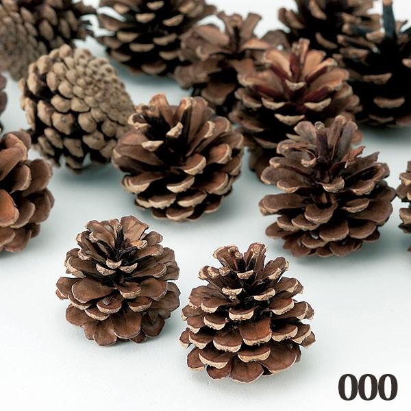 hCt[ ԍ Ƃ悹i JTE~j ؂̎ t[c ʎ ibc hC Rf hCt[ i`hCt[ v  n_