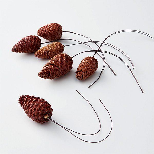 【商品仕様】全長：約20〜25cm実サイズ：約4〜7cm1袋6本入り【お伝えしたいこと】※木の実は自然素材の性質上、割れや欠け・潰れが含まれる場合があります。( 15_asoh )( 2024AW )( allp5 ) 木の実 フルーツ 果...