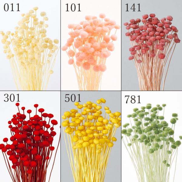 【商品仕様】約30~35cmL(約22g・約100本)花サイズ:約0.5~1cm( allp5 )(10_dras)(15_asoh)アレンジのアクセントに!小さく丸い花形が特徴の小花です。プリザともよく合う手軽に使えるドライフラワーです。...