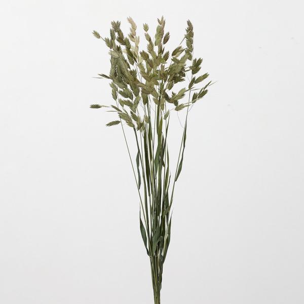 【商品仕様】全長：約70cm穂全長：2〜4cm(※個体差があります)1束約10本入り( 2025AW )( allp5 )( 15_asoh )穂の厚みが1mmもない程度の平らで、軽やかにゆらゆら揺れる表情が出せる穂もの素材です。大きめの穂...