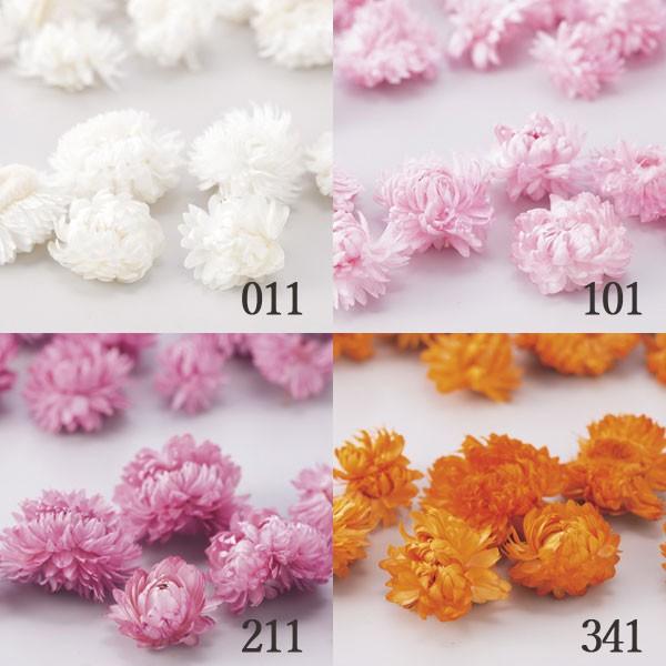 ドライフラワー 大地農園 オオチノウエン ヘリクリサム ヘッド Och 32130 Pv1 造花ドライフラワー専門問屋花びし 通販 Yahoo ショッピング