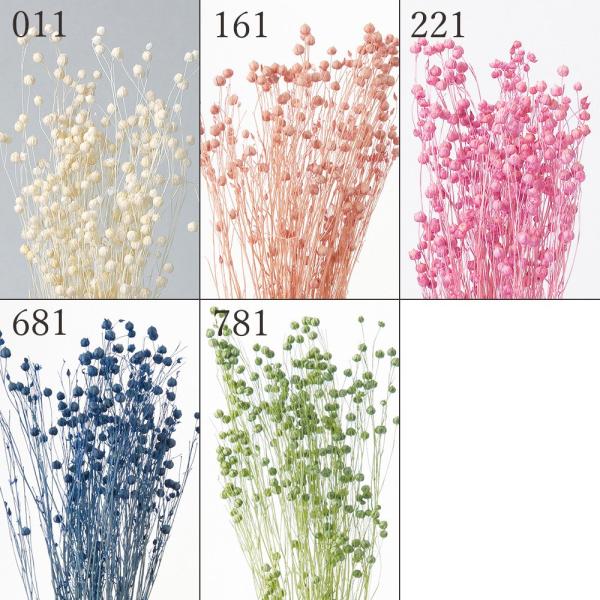 【商品仕様】全長約50cm 約45g( allp5 )(10_dras)(15_asoh)可憐で丸い花姿で、エレガントさを出せるドライフラワーです。アレンジのアクセントに便利です。軸部分も使って高さを出すことも可能です。( rsn ) ドラ...