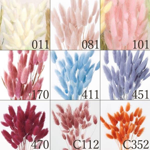 【商品仕様】全長約40~50cmL(約15g)( 10_202308 )(10_dras)(15_asoh)ふわふわした穂がアレンジにやさしく彩ります。 「ラグラス」という学名は、野ウサギの尾」という意味です。防虫加工商品です。 ドライ 自...