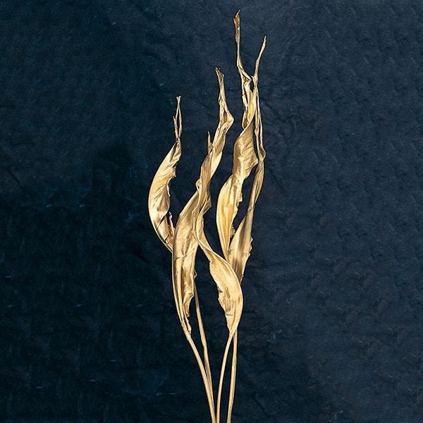 P10倍中 3/2 9:59まで】 ドライフラワー 花材 とりよせ品 ストレチア