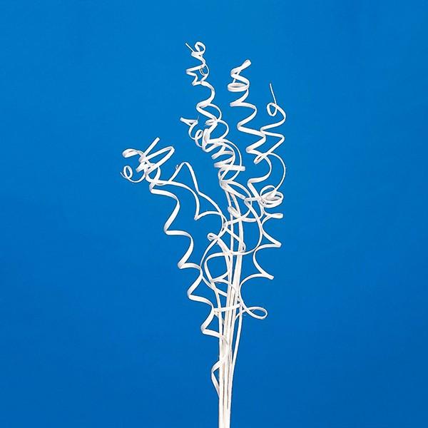 ドライフラワー 花材 とりよせ品 ケーンカール ドライ 自然素材