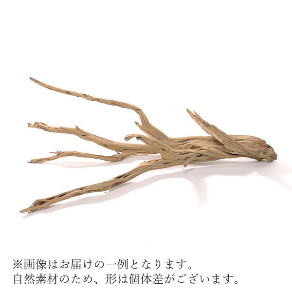 ８３５天然流木生け花素材７７cm ドライフラワー 花材 とりよせ品 ゴーストウッド 小 流木 大きい