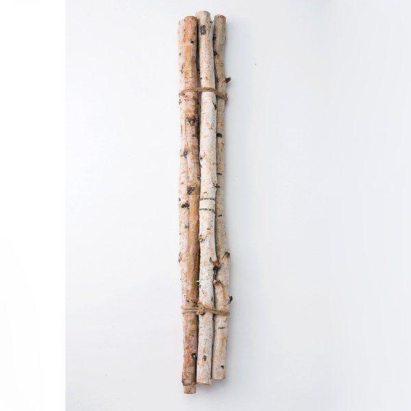 ドライフラワー とりよせ品 大地農園 白樺枝 70cm 1束5本入り N ドライ 自然素材 ドライフラワー 枝物 枝 インテリア プリ Och 造花ドライフラワー専門問屋花びし 通販 Yahoo ショッピング