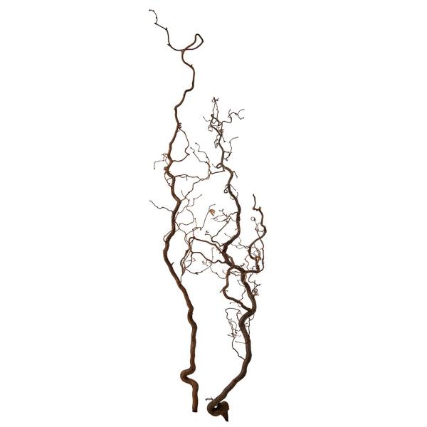 【商品仕様】全長約110~130cm2本入り【お伝えしたいこと】自然素材のため、一点一点形や大きさが異なります。掲載画像はあくまで参考程度にお考え下さい。【メーカー直送品注意事項】★こちらは《大型商品》のため、メーカーより直送いたします。沖...