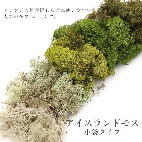 プリザーブドフラワー 花材 とりよせ品 大地農園 アイスランドモス 小袋 モス コケ 苔 ハーバリウム プリザーブドローズ プリ プリザーブド Och 造花ドライフラワー専門問屋花びし 通販 Yahoo ショッピング