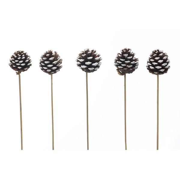 【商品仕様】1束（5本入り）全長約30cm【お伝えしたいこと】※木の実は自然素材の性質上、割れや欠け・潰れが含まれる場合があります。( 2025AW )( allp5 )( 15_asoh ) 花材 素材 材料 パーツ 松かさ マツカサ 松...