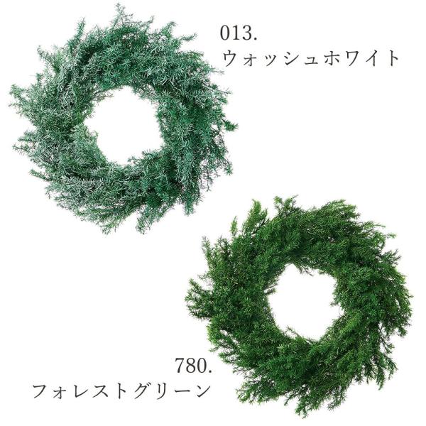 P5倍中 爆買】 リース 土台 プリザーブドフラワー 花材 とりよせ品 森