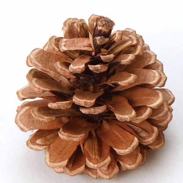 hCt[ ԍ Ƃ悹i } L i` (24pbN) ؂̎ t[c ʎ ibc hC Rf hCt[ CeA v  p