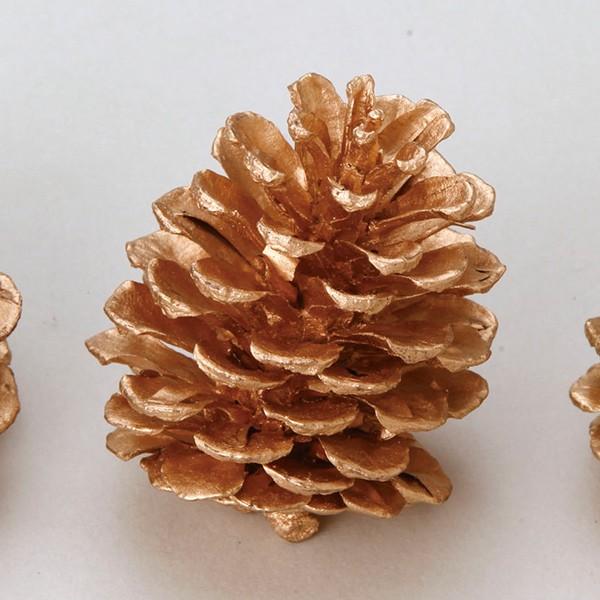 hCt[ ԍ Ƃ悹i } M S[h (24pbN) ؂̎ t[c ʎ ibc hC Rf hCt[ CeA v  p