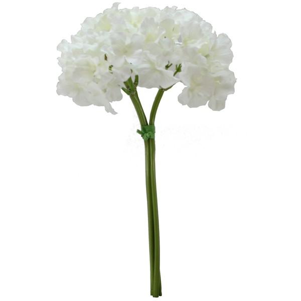  Ƃ悹i nChWA zCg z AWTC CeA CeAt[ tFCNt[ VNt[ CeAO[ t p