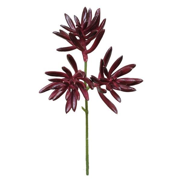  O[ A Ƃ悹i AGsbN o[KfB GAvc TbJe T{e CeA tFCN O[ p[c ԍ p