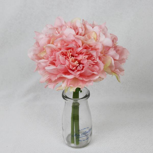 y|Cg5{ 11/03 09:59z  Ƃ悹i sIj[oh sN {^ O VNN 䉖 CeA CeAt[ ԍ f p