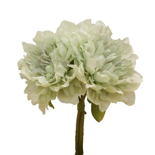  Ƃ悹i sIj[oh CgO[ {^ O VNN 䉖 CeA CeAt[ tFCNt[ VNt[ p