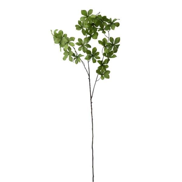  O[ Ƃ悹i hE_ccWXv[ CeA tFCN O[ p[c CeAt[ tFCNt[ VNt[ ԍ p