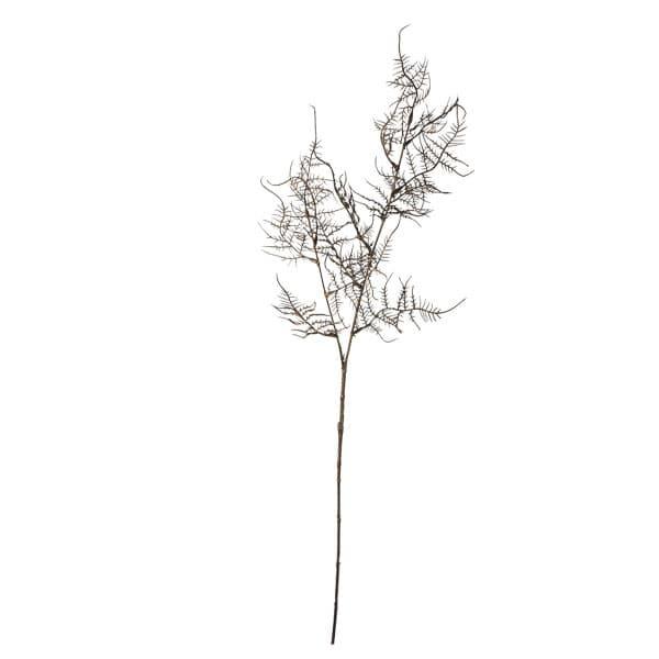 NX}X  O[ Ƃ悹i AXpKXXv[ uE [t z[[ t  I[ig G  p