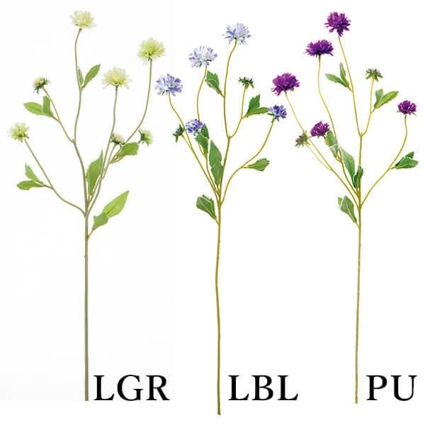 yP5{ 12/02 09:59z  Ƃ悹i R[t[(1Zbg12{) A[eBtBVt[ CeA lfBXvC~[WA YDM