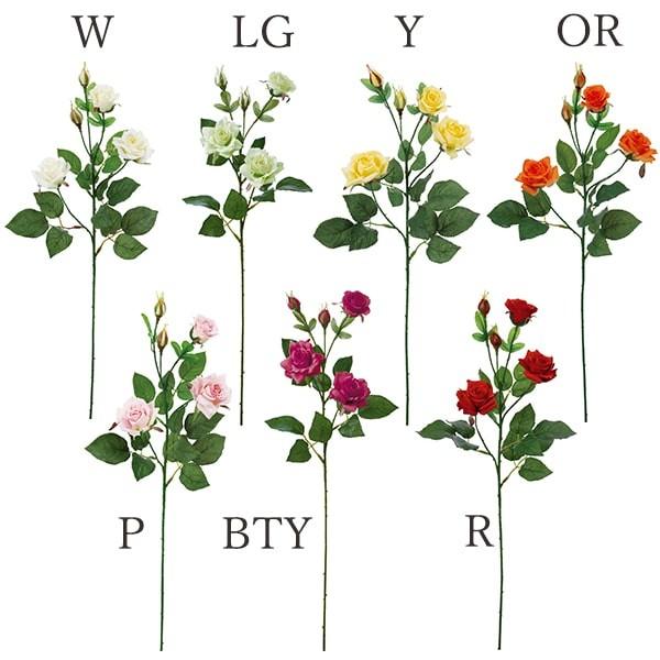  Ƃ悹i [Y×5(1Zbg12{) CeA CeAt[ tFCNt[ VNt[ ԍ lfBXvC~[WA YDM