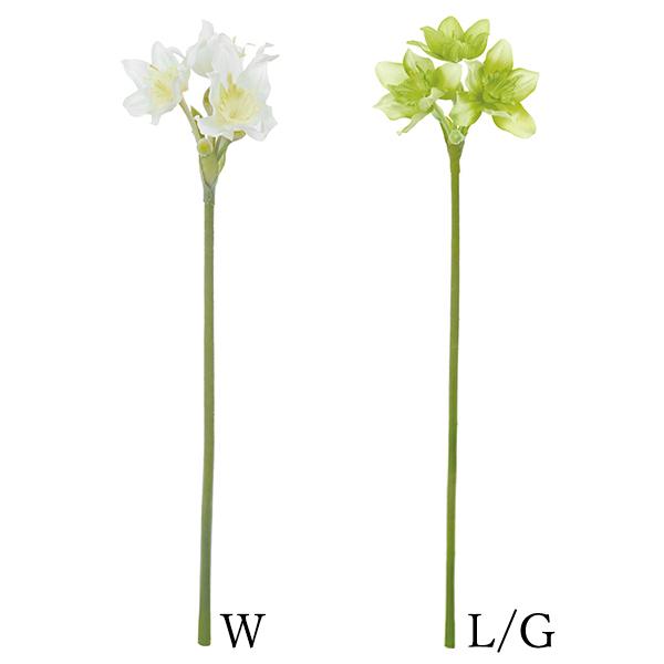  Ƃ悹i [`X(1Zbg12{) CeA CeAt[ tFCNt[ VNt[ DIY lfBXvC~[WA YDM