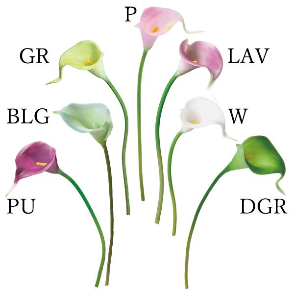  Ƃ悹i J--(1Zbg24{) A[eBtBVt[  CeA CeAt[ ԍ lfBXvC~[WA YDM