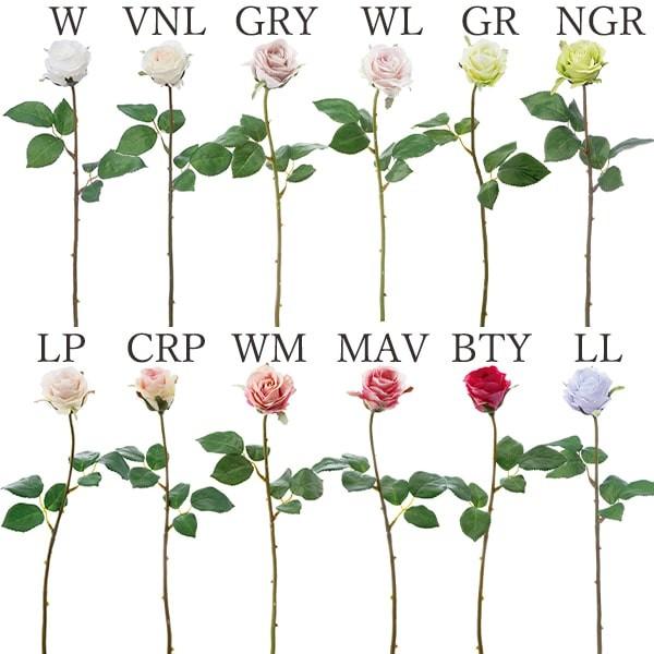  Ƃ悹i [YAo`F(1Zbg12{) CeA CeAt[ tFCNt[ ԍ Ԏ lfBXvC~[WA YDM