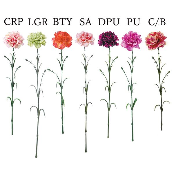 y|Cg5{ 11/03 09:59z  Ƃ悹i NXeB[iJ[l[V(1Zbg12{) ̓ CeA lfBXvC~[WA YDM