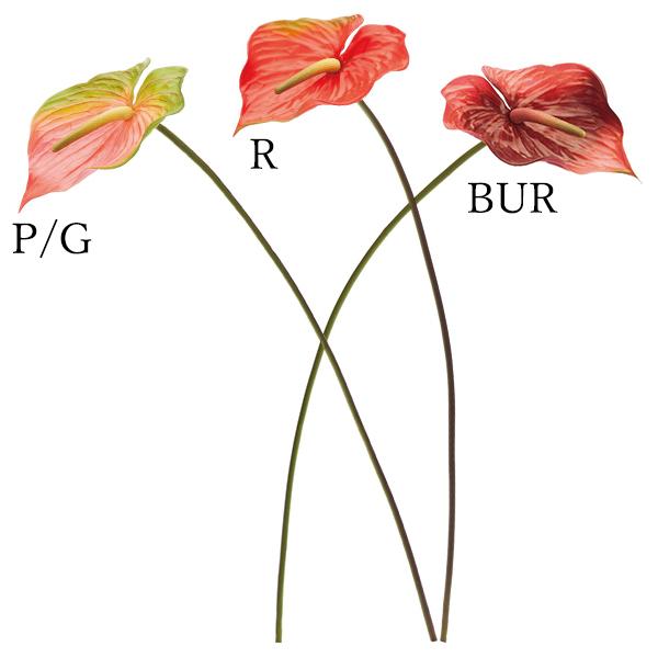  Ƃ悹i AX[(1Zbg12{) A[eBtBVt[  CeA CeAt[ lfBXvC~[WA YDM
